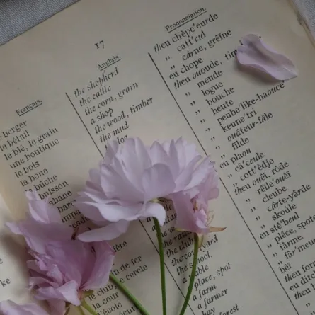 كلمات عربية جذورها أجنبية