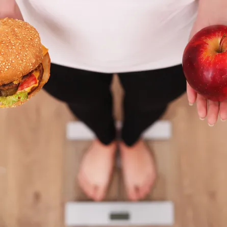 الخروج من الكيتو إلى اللوكارب