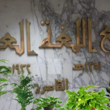 اللغة العربية