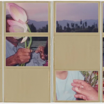 من أعمال الفنانة ياشنا كاول