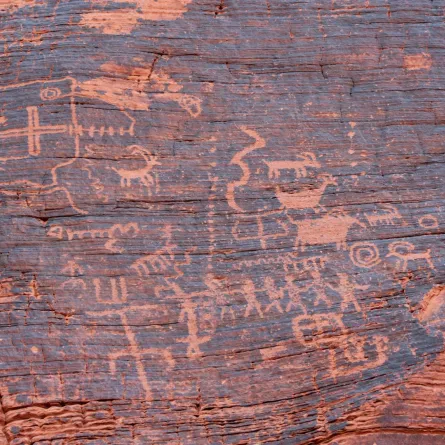 كشف أسرار نقش من العصر الحجري