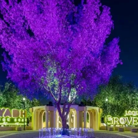 ذا جروفز- الصورة من موقع ذا جروفر على تويتر