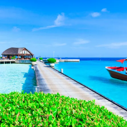 أجواء رومانسية في ماليه 