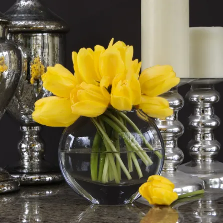 إكسسوارات منزلية مصنوعة من الفضة