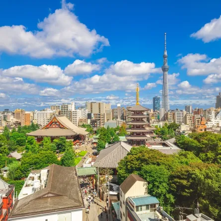 متعة السياحة في طوكيو 