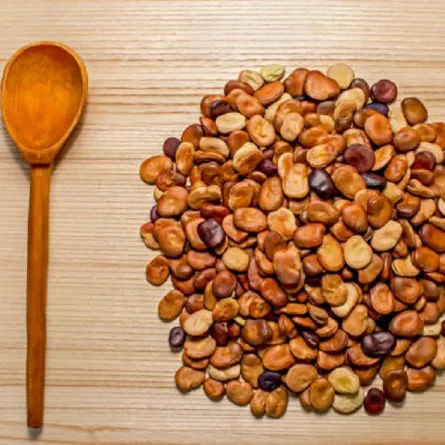 فوائد الفول اليابس للنساء