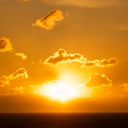 خبراء الطقس يحذرون: انهيار المناخ قد بدأ - الصورة من unsplash by toni sanchez