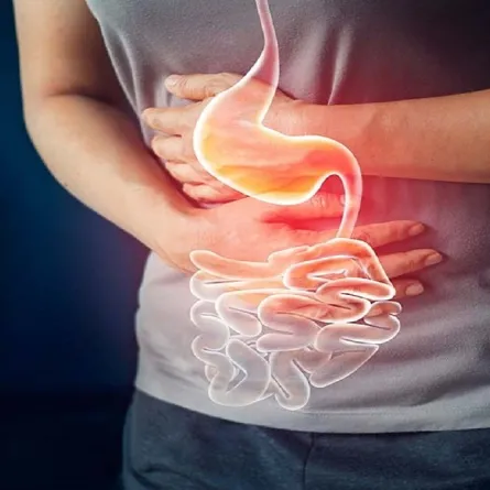 وجع البطن (المصدر: pexels.com)