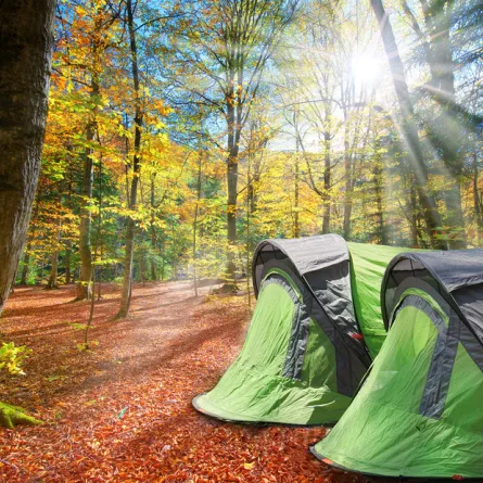 متعة التخييم في الخريف 