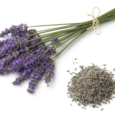 عشبة الاستخدوس للتنحيف (المصدر: Shutterstock)