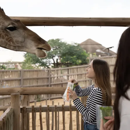  دبي سفاري بارك تبدأ باستقبال زوارها الخميس
