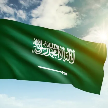 للمرة الثانية على التوالي.. البروفيسورة السعودية نجلاء الردادي ضمن قائمة العلماء 2% الأكثر تميزًا على مستوى العالم  - Shutter Stock