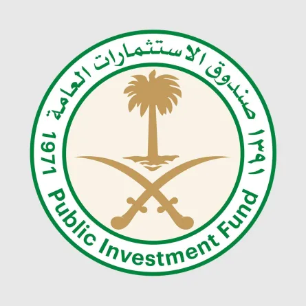 صندوق الاستثمارات العامة