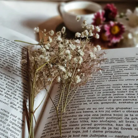 من الكتب الرومانسية