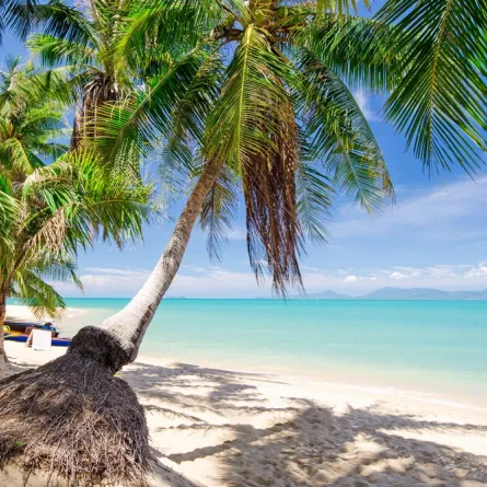 جزيرة كوه ساموي في تايلاند