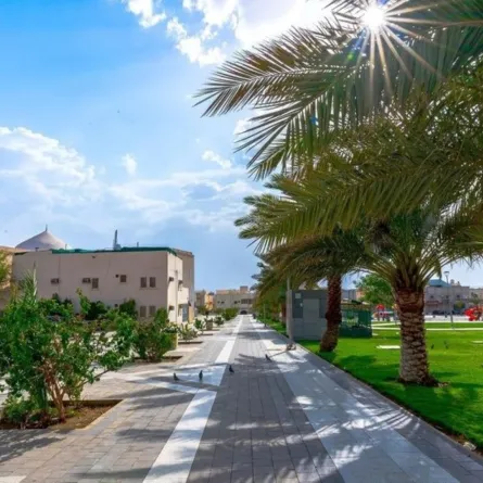 تطوير المدينة المنورة تطلق مسابقة تصميم "مسار بدر التاريخي"