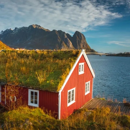 لقطة في أيسلندا  