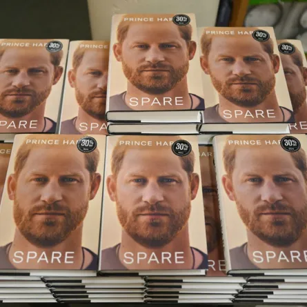 مذكرات الأمير هاري Spare. مصدر الصورة: ANGELA WEISS / AFP