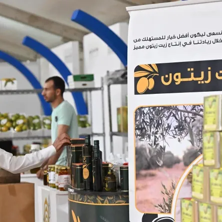 زيت الزيتون