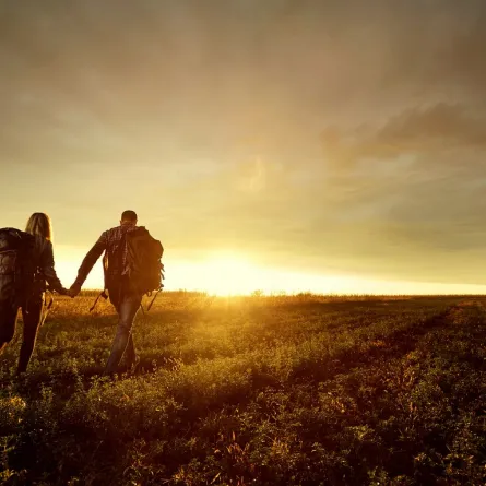 نصائح السفر