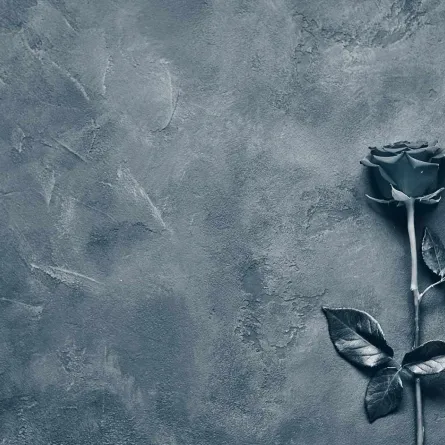 صور تعبيرية من shutter