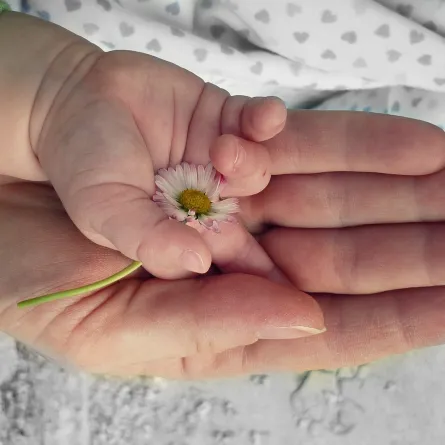 صورة تعبيرية عن التبويض - المصدر من pixabay