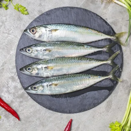 حلم أكل السمك