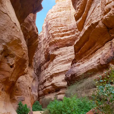 الهيئة الملكية لمحافظة العلا تدشن رسمياً إذاعة "العلا FM". الصورة من موقع unsplash by Ayman Mokhtar