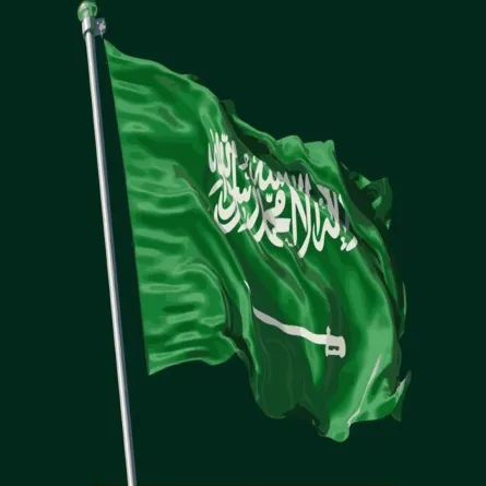 المملكة تتقدم على دول العشرين