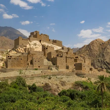 تعدّ قرية ذي عين التاريخية من أهم القرى التراثية في المملكة