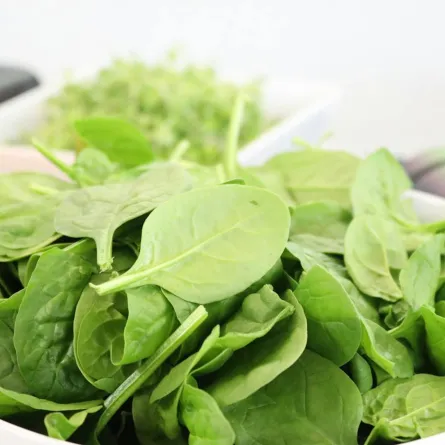 فوائد الجرجير الصحية للنساء غير منتظرة.. ادخليه فوراً إلى نظامك (المصدر: pexels)