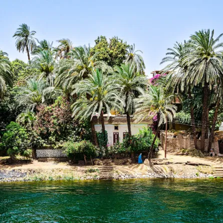 سيوة مصر- مصدر الصورة بيكسلز