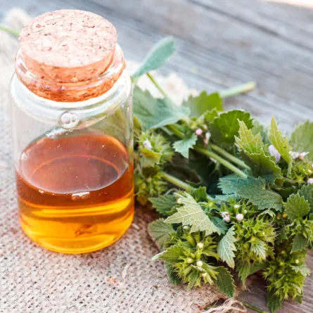 عشبة مريوت للتنحيف (المصدر: Shutterstock)