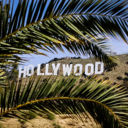 هوليوود. مصدر الصورة: pexels-edgar-colomba