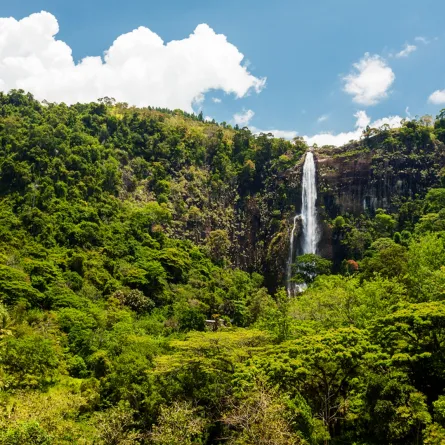 شلالات بامباراكاندا 