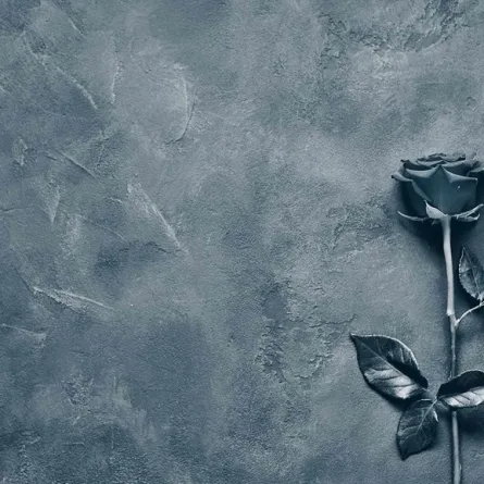 الإعلان عن وفاة المغنية الكورية كيم ناهي