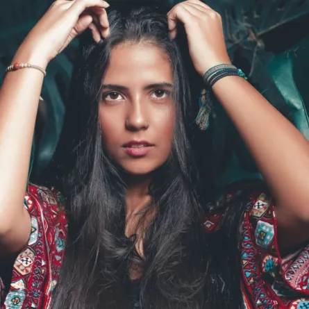 الفوضى الداخلية