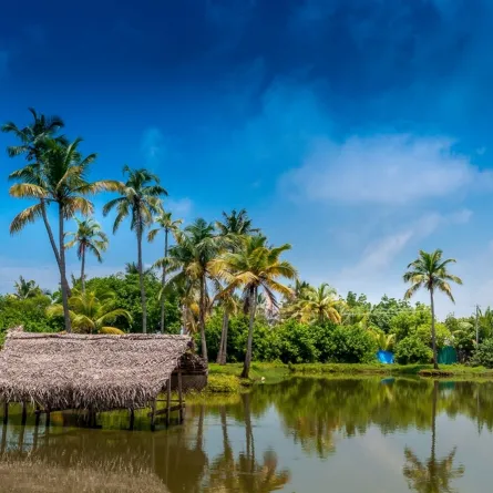 كوتشي هي مقصد سياحي شهير