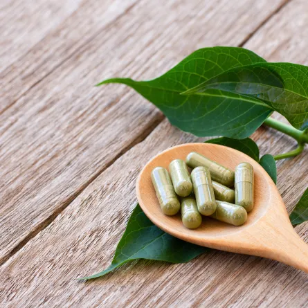 عشبة الجيمنيما للتنحيف (المصدر: Shutterstock)