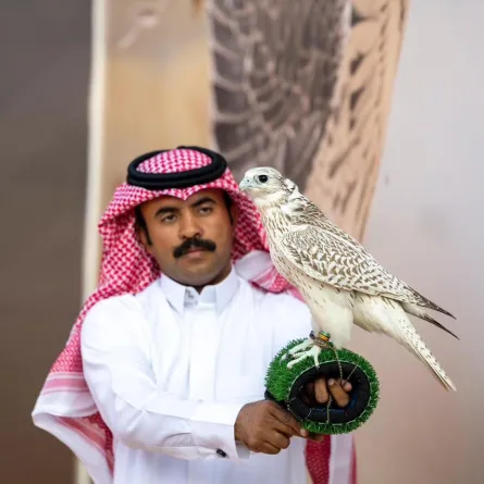 نادي الصقور