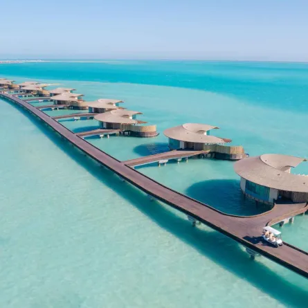 البحر الأحمر الدولية