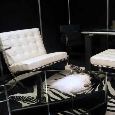 سجادة منقوشة بنقش الحمار الوحشي وملونة بلونيه