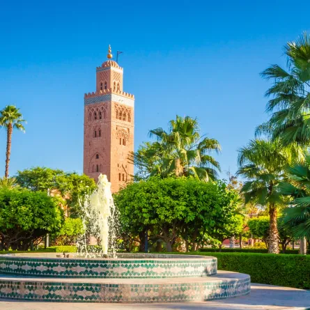 زيارة ممتعة إلى مراكش 