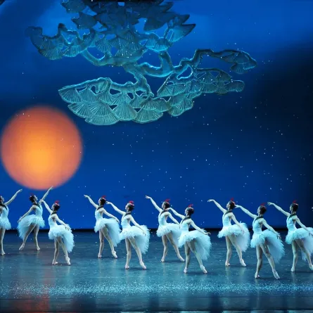 مهرجان أبوظبي يكشف عن برنامج دورته الحادية والعشرين لعام 2024