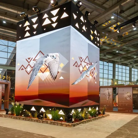 مهرجان الملك عبدالعزيز للصقور