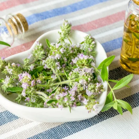 مشروبات مفيدة للقلب والشرايين... من المهم الحرص على تناولها حسب اختصاصية (المصدر: Shutterstock)