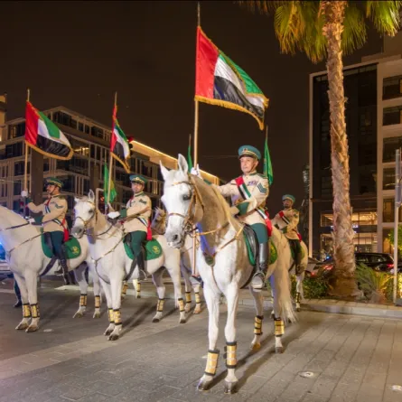 عروض مميزة واحتفالات بعيد الاتحاد 