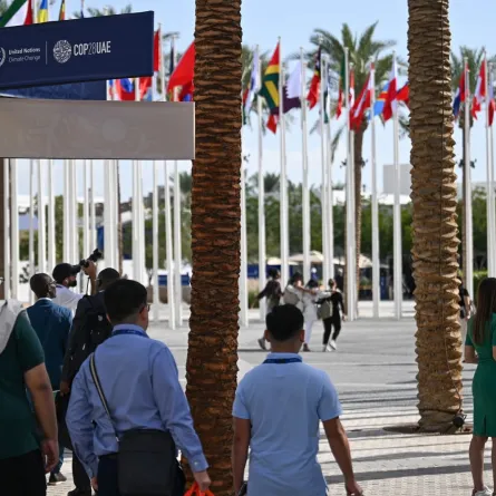 انطلاق أعمال COP28 للمناخ من مدينة إكسبو دبي - الصورة من وام