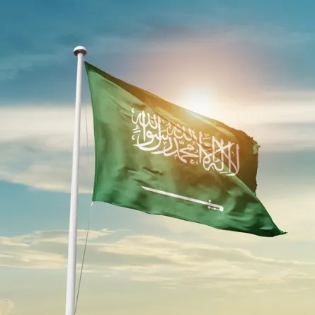 أفضل ما قاله الشعراء عن المملكة العربية السعودية