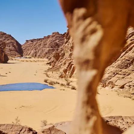 انطلاق النسخة الثالثة من معرض صحراء X العلا 2024 - الصورة من موقع استكشف العلا على الإنترنت للفنان عبدالله العثمان بعنوان "جغرافيا الأمل" 2022